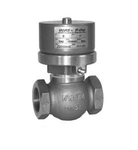 Pneumatically Operated Globe & Gate Valves